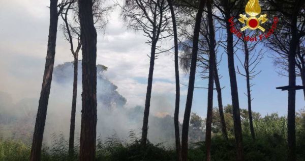 Großes Feuer in Plaia, Schilf und Bäume in Rauch