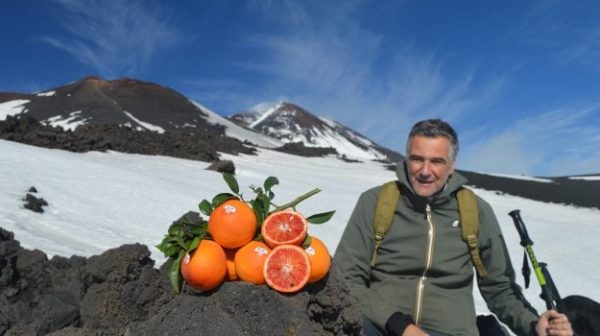 La saison Igp Red Orange de Sicile démarre avec un hommage à l'Etna