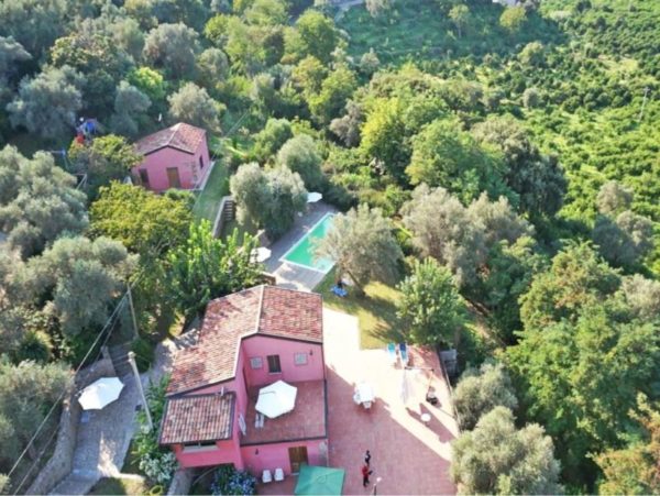 agricontura, capri leone, italia