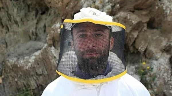 pantelleria, almanza honey from the killer bee: now the focus