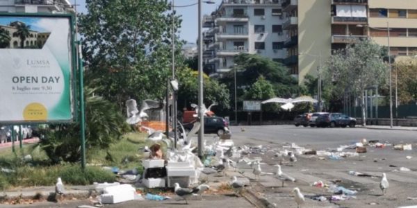 Palermo, Fish Remains after the Market: Dozens of Seagulls Swarm Viale Campania