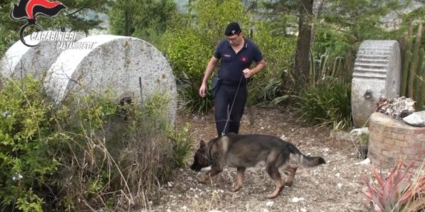 Racket della paglia e tentato omicidio a Gela: tre arresti e altre due misure cautelari