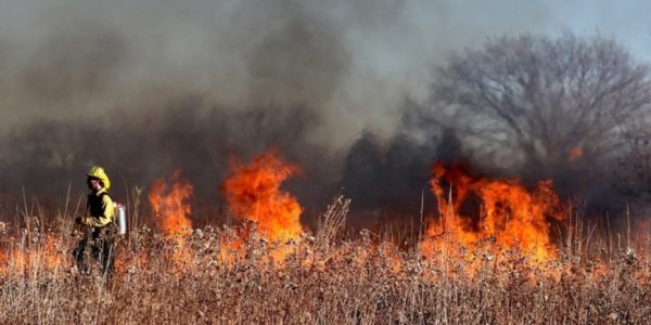 In Sicilia 50 roghi, la situazione più critica a Trapani e Palermo