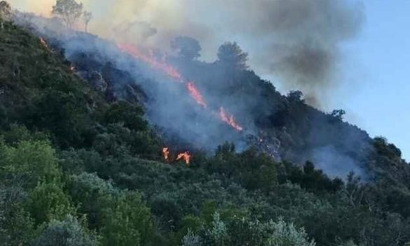 Incendio vicino all’Acquapark di Monreale, minacciate alcune abitazioni
