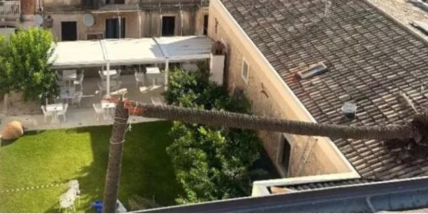 Taormina, una palma si spezza e crolla sul tetto della Casa del Cinema