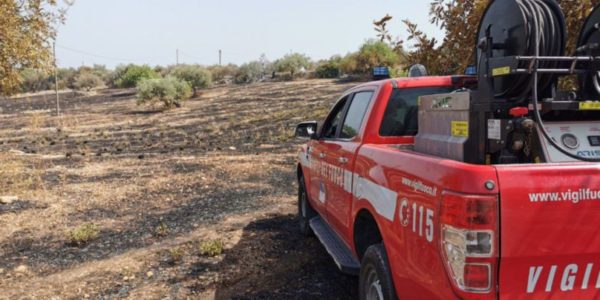 L'incendio sterminò il suo gregge a Caltabellotta, gli amici lanciano una raccolta fondi