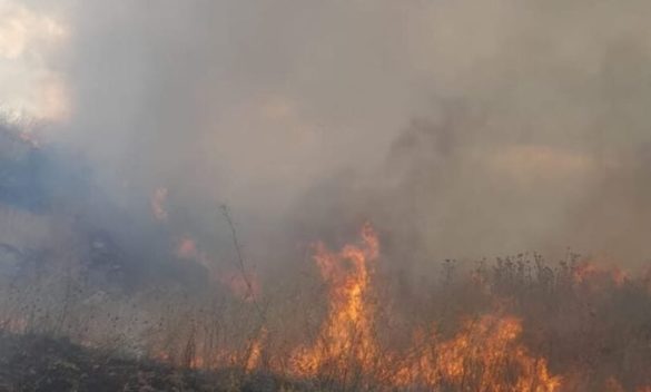 Vittoria, vasto incendio sulla provinciale di Alcerito: il fumo invade le carreggiate