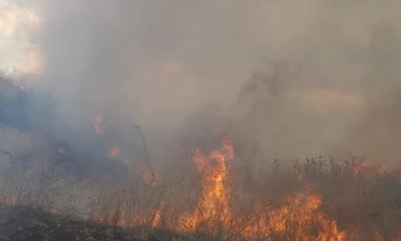 Ancora incendi in Sicilia, paura per un rogo a Comiso