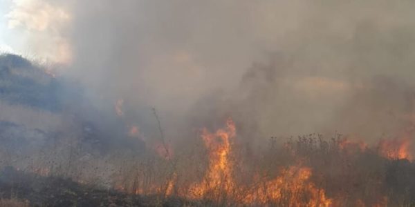 Ancora incendi in Sicilia, paura per un rogo a Comiso