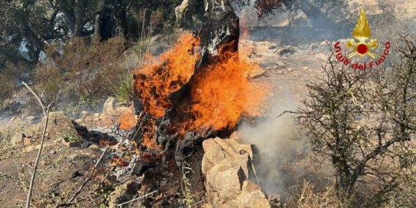 Incendi a Palermo e provincia: i vigili del fuoco raddoppiano le squadre, evacuati 700 turisti dal Costa Verde di Cefalù