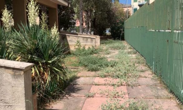 Palermo, a Borgo Nuovo la scuola Maritain tra le erbacce: "Reset pulirà tutto prima della riapertura"