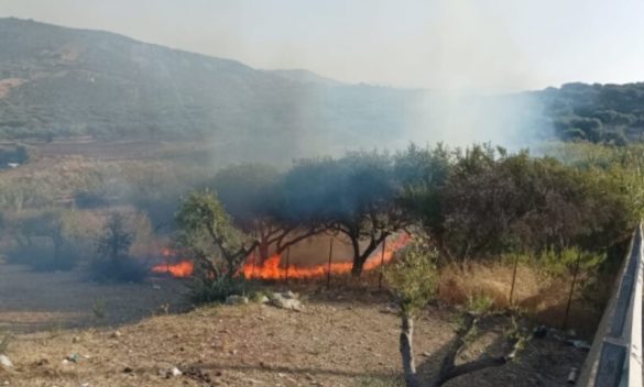 Brucia i resti della potatura, ma il rogo si propaga: denunciato allevatore a Piana degli Albanesi