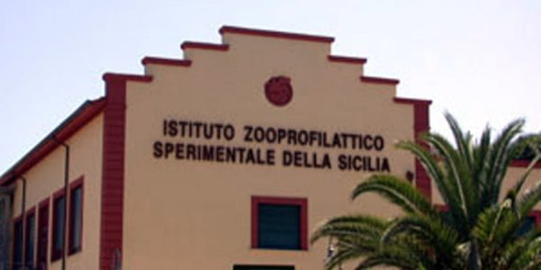 Istituto Zooprofilattico di Palermo, concorso per collaboratori amministrativi: il bando