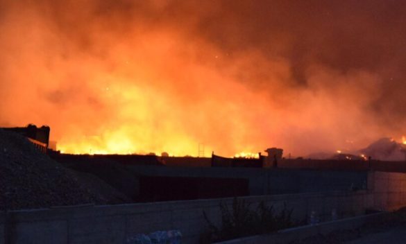 Vasto incendio a Castellammare del Golfo, in fiamme ettari di bosco