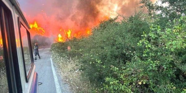 Dalla Curia di Cefalù «semi di vita» contro gli incendi