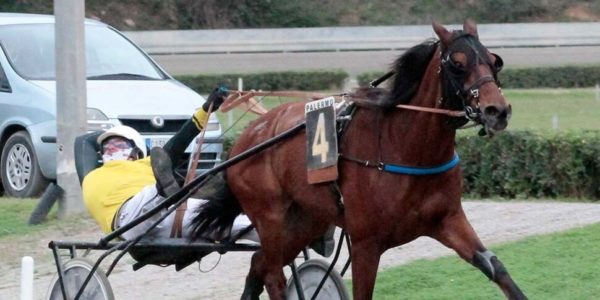 Ippodromo di Palermo, Michele Lazzara vince la giornata dedicata ai gentlemen