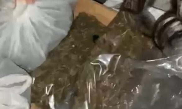 Polizia sequestra in un condominio a Catania dosi di cocaina e marijuana