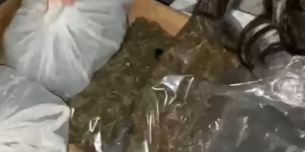 Polizia sequestra in un condominio a Catania dosi di cocaina e marijuana