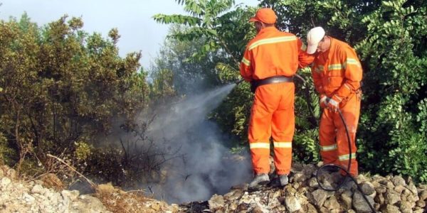 Regione Siciliana, la procura della Corte dei Conti apre un'inchiesta sul concorso per i forestali annullato