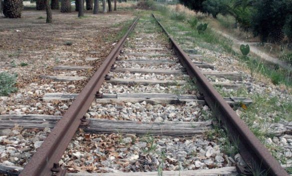 Bovini investiti da un treno sulla linea Siracusa-Gela: denunciato il proprietario