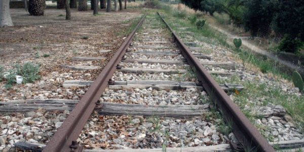 Bovini investiti da un treno sulla linea Siracusa-Gela: denunciato il proprietario