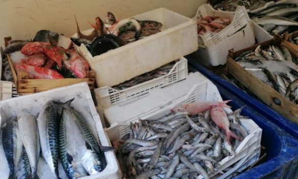 Palermo, sequestrati 2.500 chili di pesce nei mercatini rionali e ai venditori ambulanti