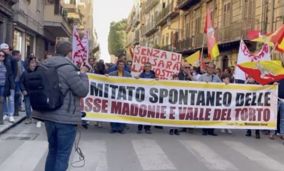 La protesta degli agricoltori a Palermo, corteo per le vie del centro: «Pronto un documento, ora serve l'aiuto delle istituzioni»