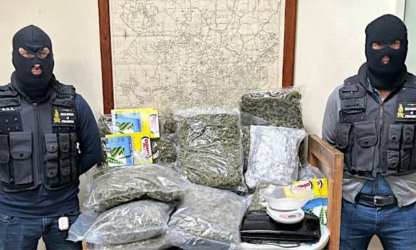 Catania, in casa avevano 20 chili di marijuana skunk: arrestati padre e figlio