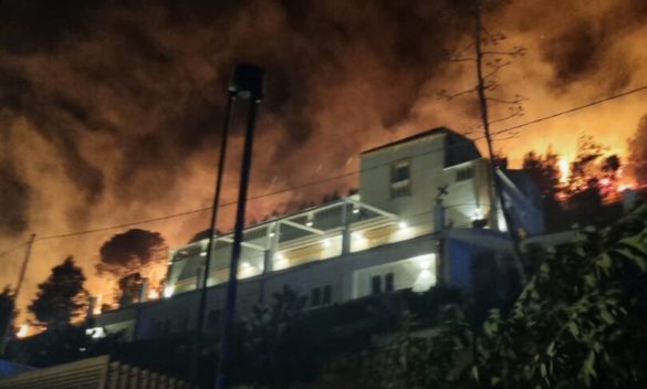 L’incendio di Castellammare, il sindaco: «Matrice dolosa»