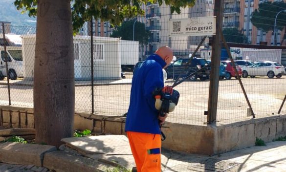 Palermo, a Bonagia la Rap in azione per togliere le erbacce vicino alle scuole