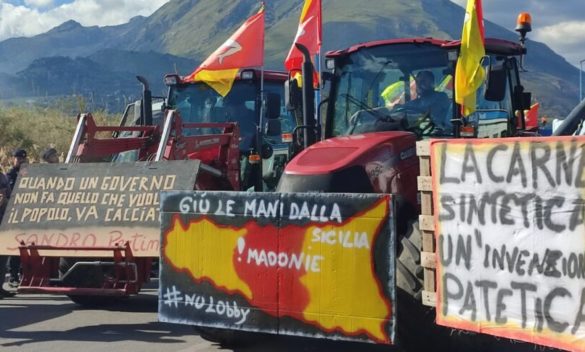 La protesta degli agricoltori, Sammartino incontra i manifestanti: «Occorre l'intervento del governo nazionale»