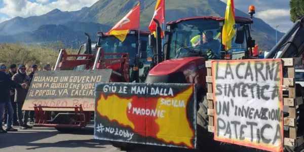 La protesta degli agricoltori, Sammartino incontra i manifestanti: «Occorre l'intervento del governo nazionale»