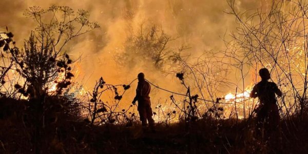 Incendi in Sicilia: nel 2023 in fumo 51 mila ettari, più del doppio di tutte le altre regioni italiane messe insieme