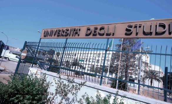 Università di Palermo: assunzioni per informatici, bibliotecari e linguisti