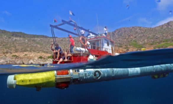 Relitti e altri tesori, a caccia di reperti nel mare di Ustica