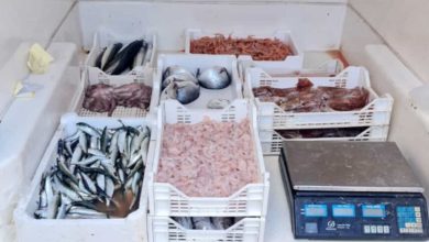 Agrigento, controlli in pescherie e ristoranti: sequestrati oltre cento chili di prodotti ittici