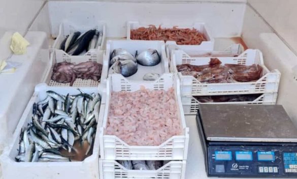 Agrigento, controlli in pescherie e ristoranti: sequestrati oltre cento chili di prodotti ittici