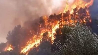 Riparte l'incendio nella riserva naturale di Santa Croce Camerina, il sindaco: «Siamo addolorati»