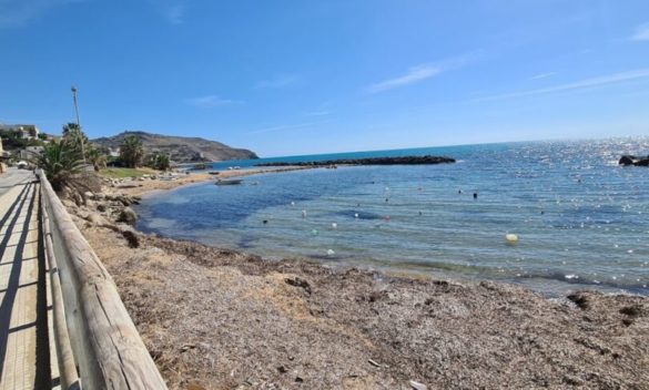 Marina di Palma, spiaggia e divertimenti