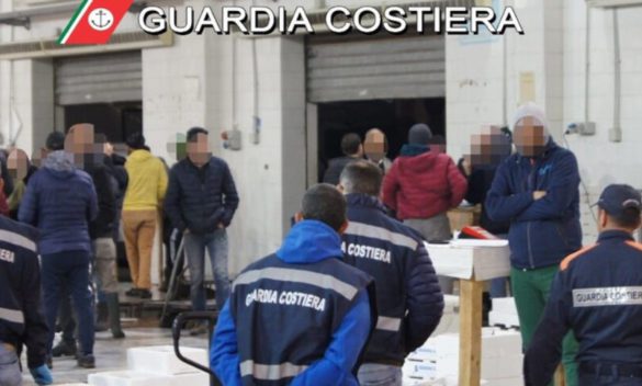 Oltre mille chili di pesce sequestrati al mercato ittico di Palermo, commercianti in fuga per sfuggire ai controlli