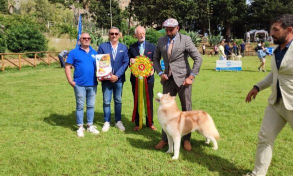 Esposizione canina alla Favorita di Palermo: il vincitore è un Siberian Husky