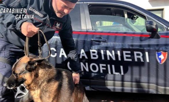 Droga in una comunità di accoglienza di Pedara, la fiuta cane dei carabinieri