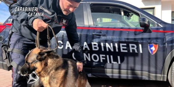 Droga in una comunità di accoglienza di Pedara, la fiuta cane dei carabinieri