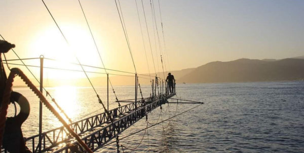 La pesca del pesce spada nello Stretto di Messina diventa presidio Slow Food