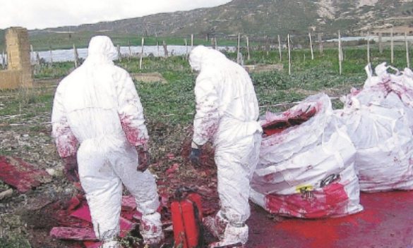 Morti per amianto a Palermo, la Corte di Cassazione annulla l'assoluzione per due dirigenti di Fincantieri