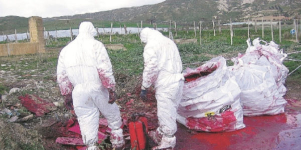 Morti per amianto a Palermo, la Corte di Cassazione annulla l'assoluzione per due dirigenti di Fincantieri