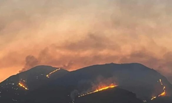 Rischio incendi a Palermo, avviso di preallerta della Protezione civile