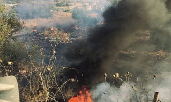 Incendio boschivo nell'Ennese, denunciato il presunto responsabile