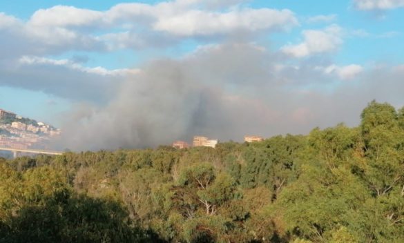 Bruciano le colline di Agrigento: paura tra i residenti, vigili del fuoco in azione