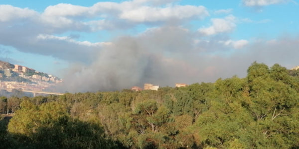 Bruciano le colline di Agrigento: paura tra i residenti, vigili del fuoco in azione